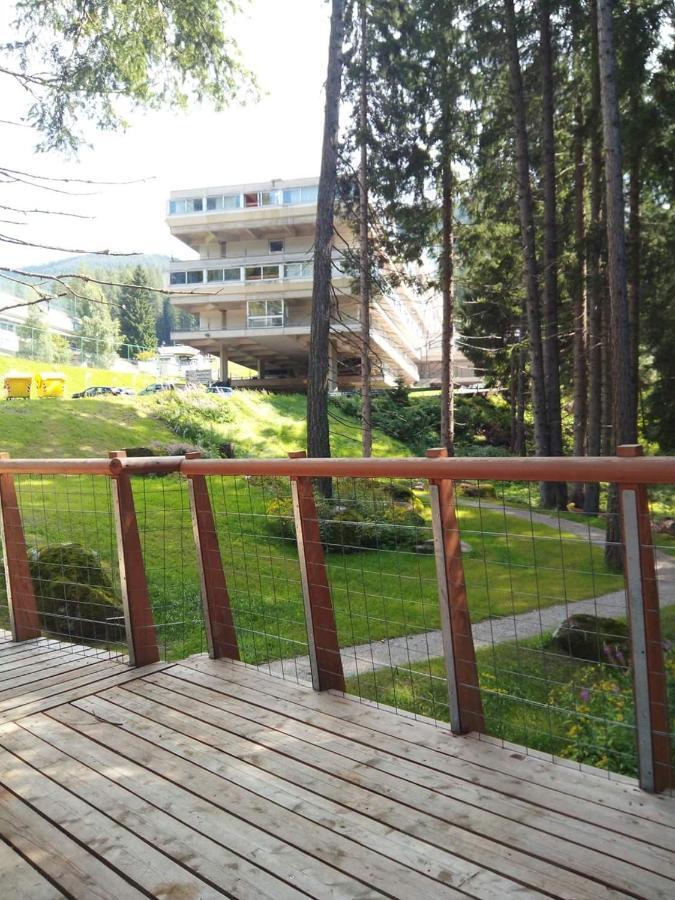 Sul Cucuzzolo Apartment Marilleva Luaran gambar